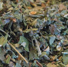 HAWTHORNE FLOWERS AND LEAVES C/S